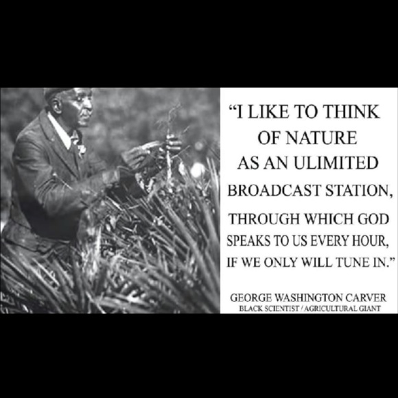 Reach out for offers :) - Picture 6 of 12